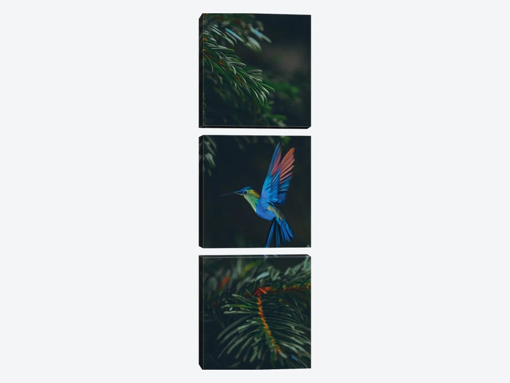 Hummingbirds In Spruce Branches by Ievgeniia Bidiuk 3-piece Art Print