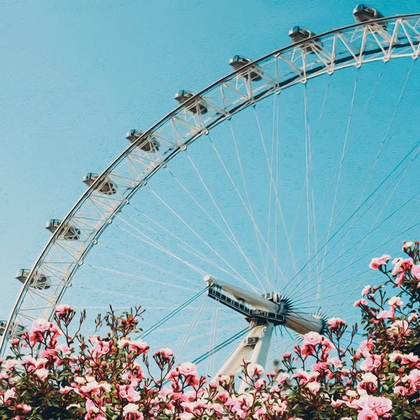 Ferris Wheels: Pink Roses Of The Ferris Wheel by Ievgeniia Bidiuk
