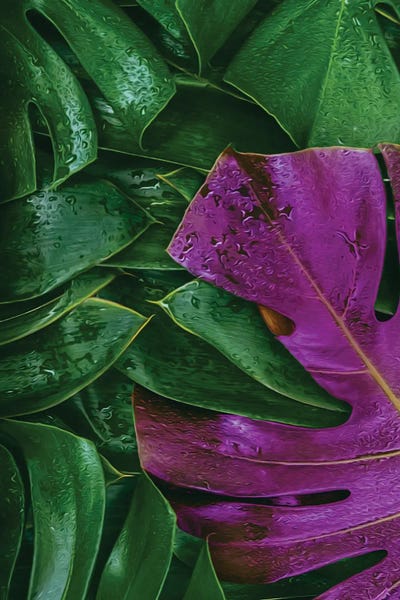 Ievgeniia Bidiuk: Purple And Green Monster by Ievgeniia Bidiuk