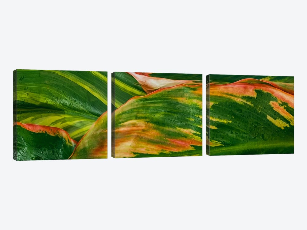 Green And Pink Acrylic Abstract Painting Texture by Ievgeniia Bidiuk 3-piece Art Print