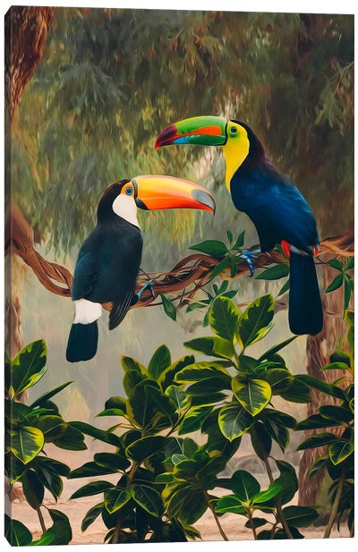 Two African Toucans On A Branch Canvas Art Print - Ievgeniia Bidiuk