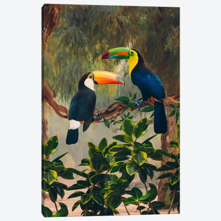 Two African Toucans On A Branch Canvas Print #IVG738} by Ievgeniia Bidiuk Canvas Wall Art