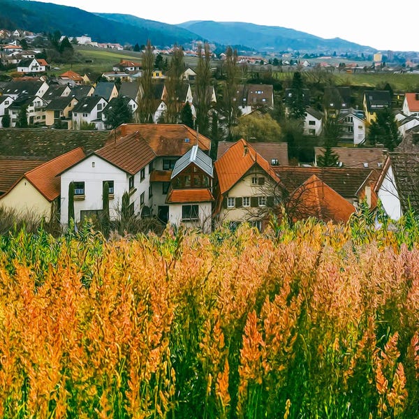 Ievgeniia Bidiuk: Blooming Meadow Grass Against The Backdrop Of An Old City In Europe by Ievgeniia Bidiuk