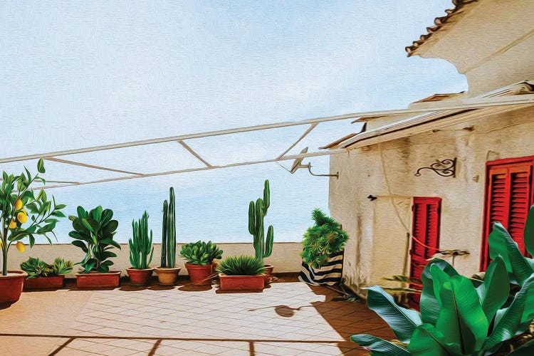 Terrace Of An Old Villa With Cacti