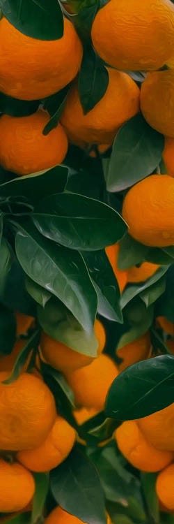 Fresh Ripe Tangerines With Leaves And Green Plants On Table