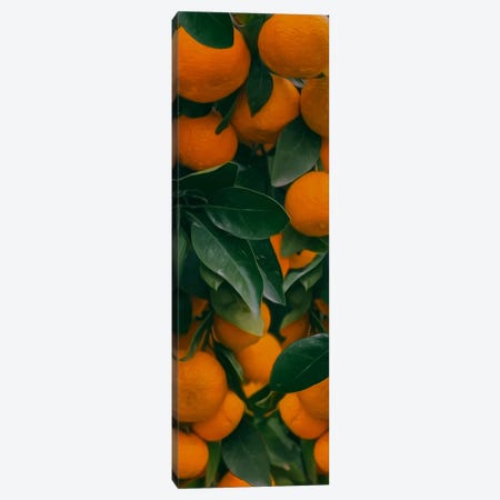 Fresh Ripe Tangerines With Leaves And Green Plants On Table Canvas Print #IVG742} by Ievgeniia Bidiuk Art Print