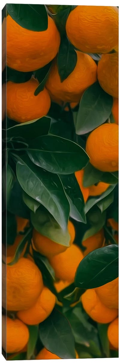 Fresh Ripe Tangerines With Leaves And Green Plants On Table Canvas Art Print - Orange Art