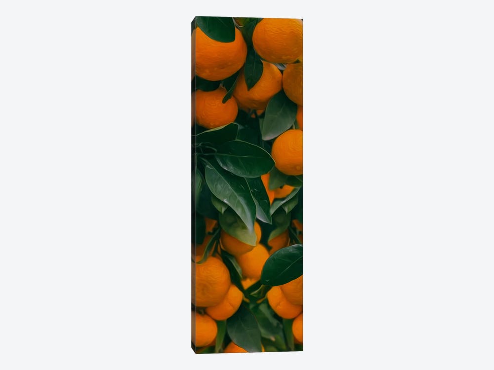 Fresh Ripe Tangerines With Leaves And Green Plants On Table by Ievgeniia Bidiuk 1-piece Canvas Art Print