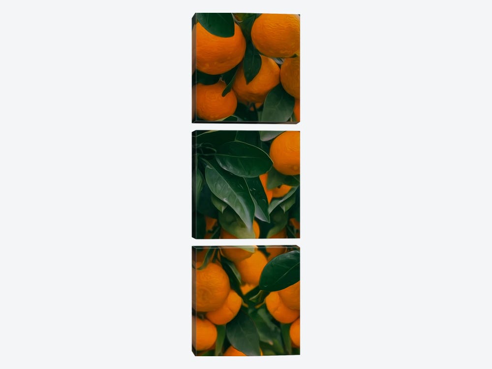 Fresh Ripe Tangerines With Leaves And Green Plants On Table by Ievgeniia Bidiuk 3-piece Art Print