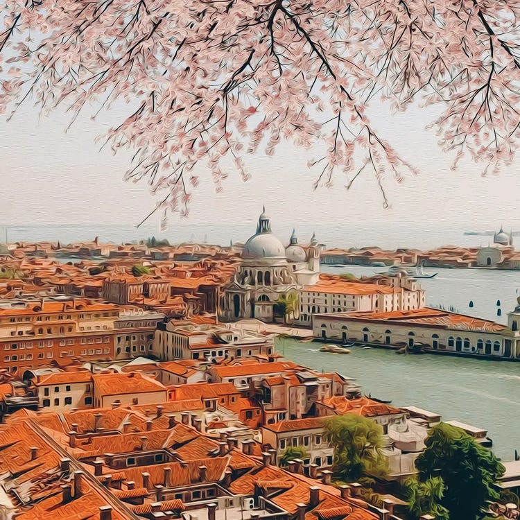 Blooming Sakura Over Venice