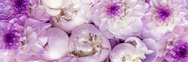 Ievgeniia Bidiuk: Purple Peonies And Dahlias by Ievgeniia Bidiuk