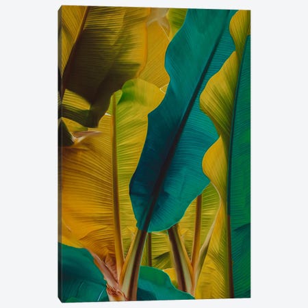 Banana Leaves In Turquoise And Yellow Canvas Print #IVG756} by Ievgeniia Bidiuk Art Print