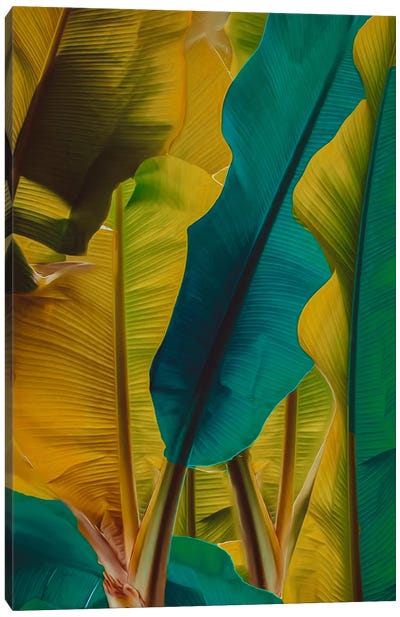 Banana Leaves In Turquoise And Yellow Canvas Art Print - Ievgeniia Bidiuk