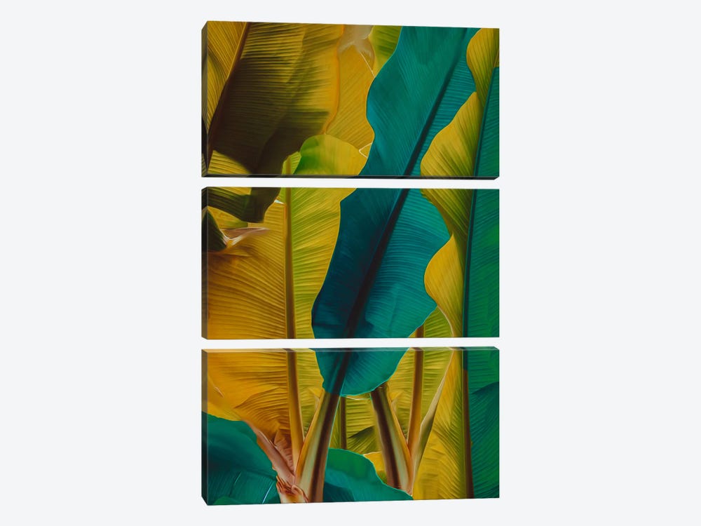 Banana Leaves In Turquoise And Yellow by Ievgeniia Bidiuk 3-piece Canvas Wall Art