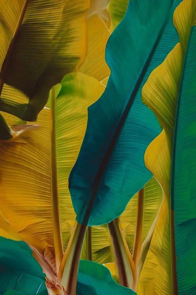 Ievgeniia Bidiuk: Banana Leaves In Turquoise And Yellow by Ievgeniia Bidiuk