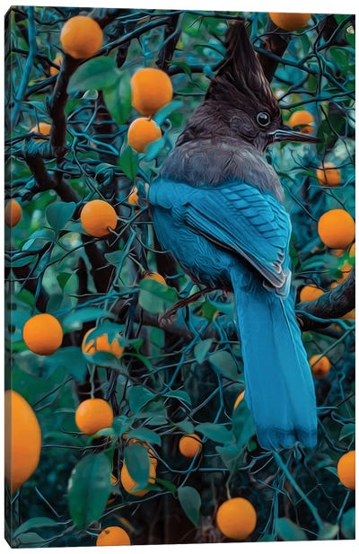 Mockingjay On The Orange Tree Canvas Art Print - Ievgeniia Bidiuk