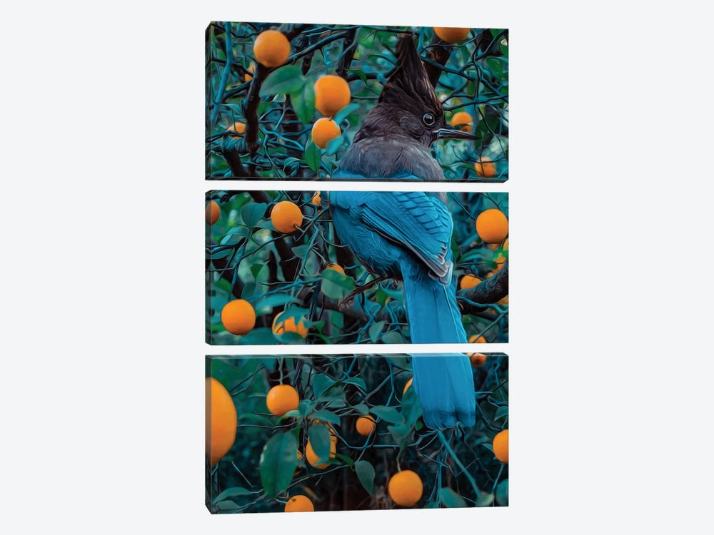 Mockingjay On The Orange Tree by Ievgeniia Bidiuk 3-piece Canvas Art Print