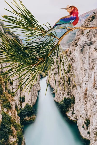 Ievgeniia Bidiuk: Coracias Caudatus Over A Mountain Gorge by Ievgeniia Bidiuk