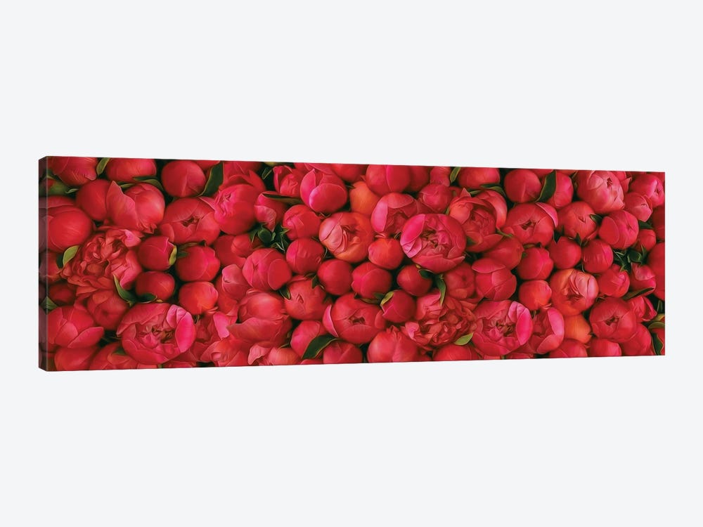 Large Background Of Red Peonies by Ievgeniia Bidiuk 1-piece Canvas Wall Art