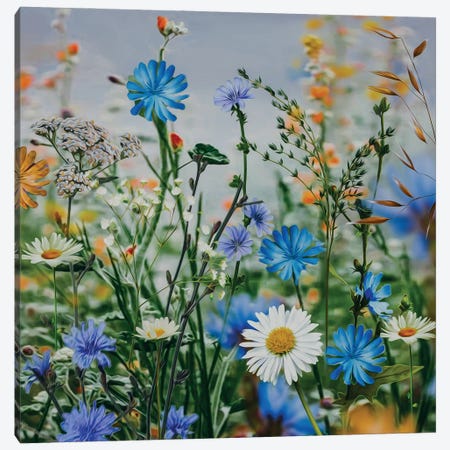 Wildflowers Daisies, Chicory, Grass, Cornflowers Canvas Print #IVG764} by Ievgeniia Bidiuk Canvas Art