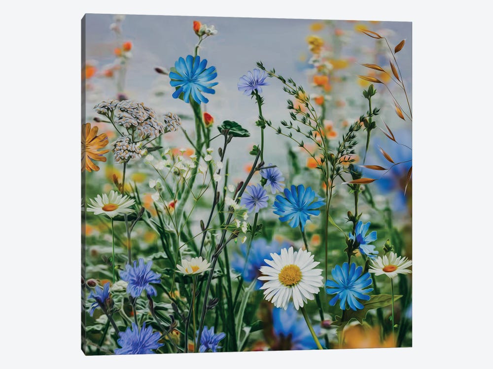 Wildflowers Daisies, Chicory, Grass, Cornflowers by Ievgeniia Bidiuk 1-piece Canvas Print
