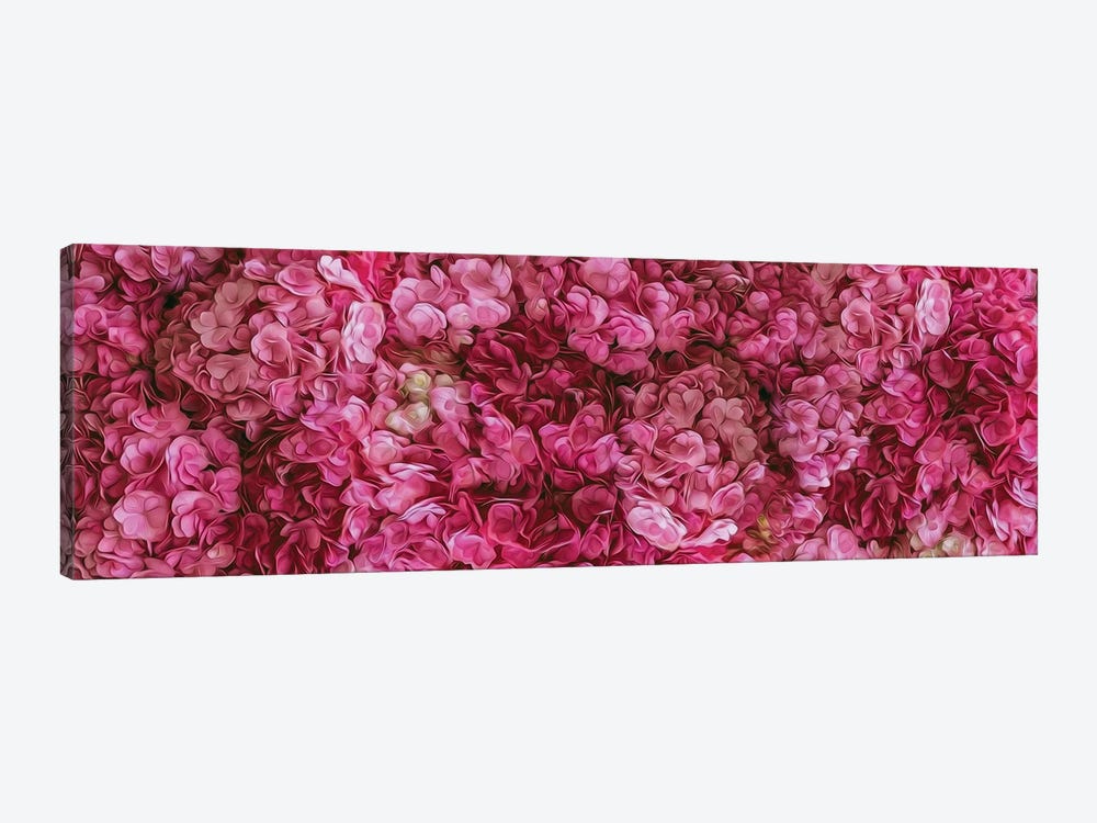 A Background Of Pink Blooming Hydrangea by Ievgeniia Bidiuk 1-piece Canvas Wall Art