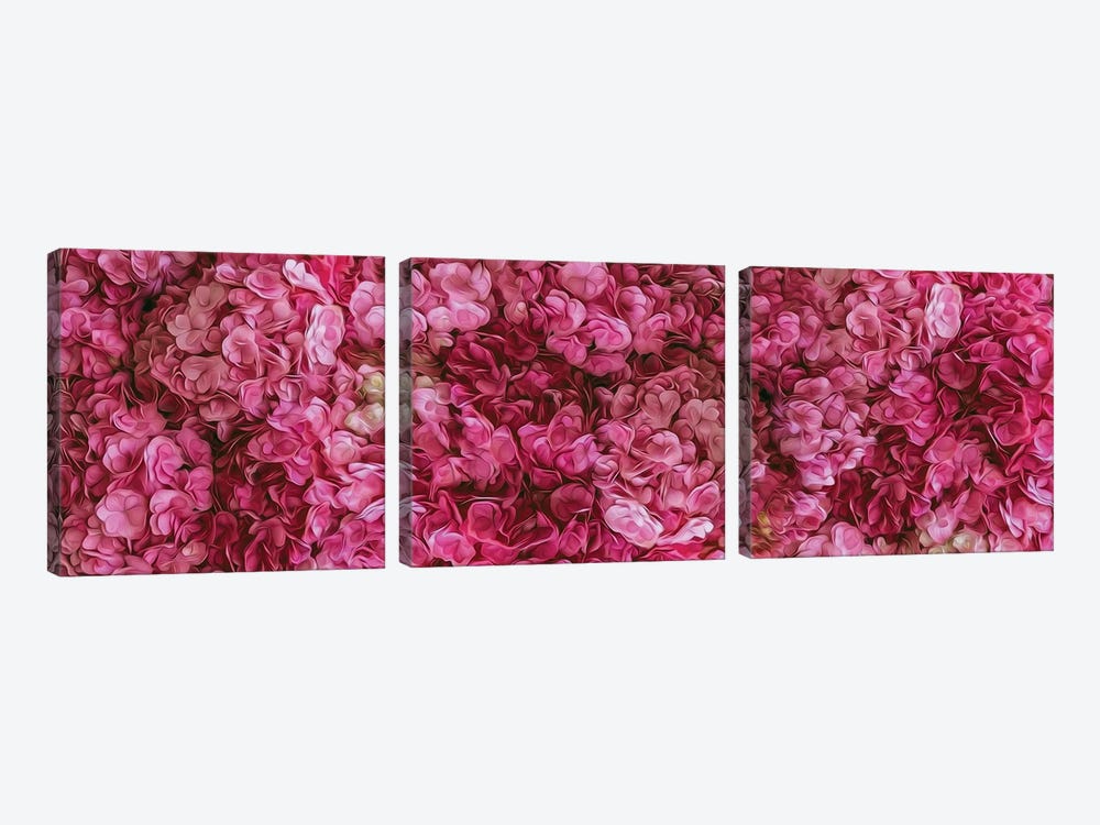 A Background Of Pink Blooming Hydrangea by Ievgeniia Bidiuk 3-piece Canvas Art
