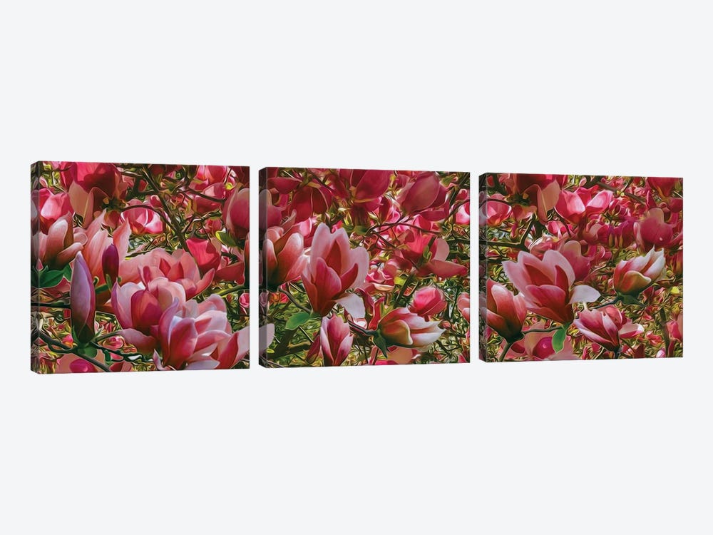 Background Of Pink Blooming Magnolia by Ievgeniia Bidiuk 3-piece Canvas Artwork