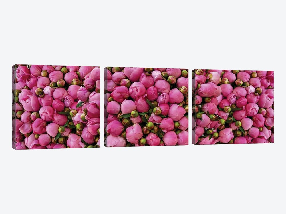 Pink Peony Buds by Ievgeniia Bidiuk 3-piece Canvas Print