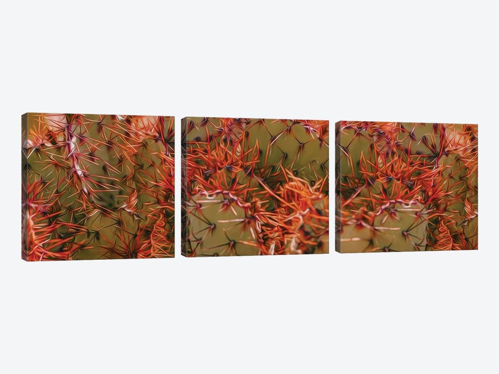 Orange Needles Of Mexican Cactus by Ievgeniia Bidiuk 3-piece Canvas Artwork