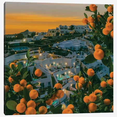 Tangerine Trees Over The Evening Santorini Canvas Print #IVG778} by Ievgeniia Bidiuk Canvas Wall Art