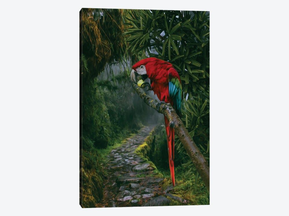 A Large Parrot In A Rainforest by Ievgeniia Bidiuk 1-piece Canvas Art Print