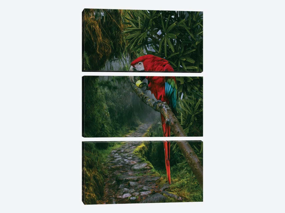 A Large Parrot In A Rainforest by Ievgeniia Bidiuk 3-piece Canvas Print