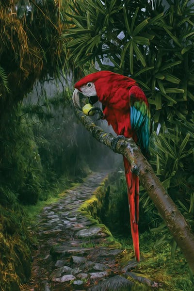 Ievgeniia Bidiuk: A Large Parrot In A Rainforest by Ievgeniia Bidiuk