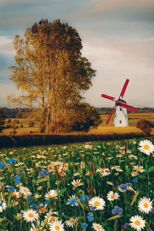 A Mill In The Valley And A Meadow With Blooming Daisies