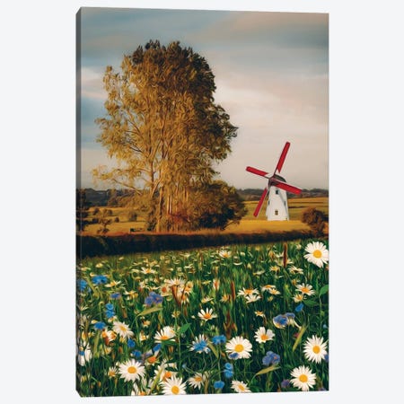 A Mill In The Valley And A Meadow With Blooming Daisies Canvas Print #IVG789} by Ievgeniia Bidiuk Canvas Print