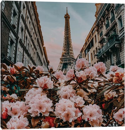 Pink Rhododendron Buds On The Background Of Paris Street Canvas Art Print - Ievgeniia Bidiuk