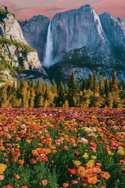 Ievgeniia Bidiuk: A Glade Of Blooming Ranunculus In The Mountains by Ievgeniia Bidiuk