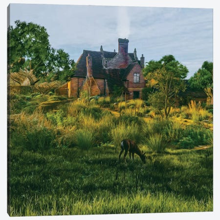 A Roe Deer In The Pasture Near The Old House Canvas Print #IVG795} by Ievgeniia Bidiuk Art Print