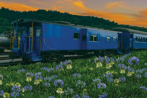 Ievgeniia Bidiuk: Blooming Allium And Train by Ievgeniia Bidiuk