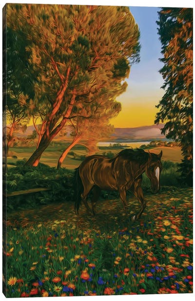 Wild Foal In A Flowering Meadow In The Forest Canvas Art Print - Ievgeniia Bidiuk