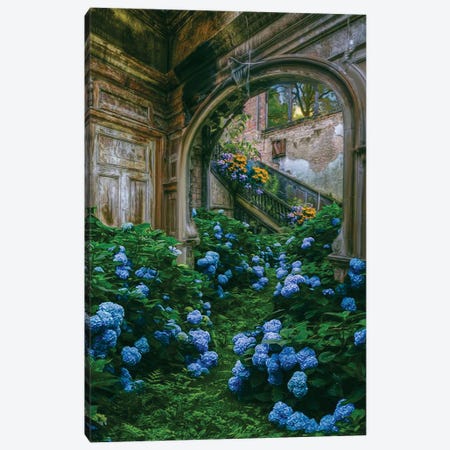 Blue Hydrangea Flowers In An Old Abandoned House Canvas Print #IVG806} by Ievgeniia Bidiuk Canvas Art Print