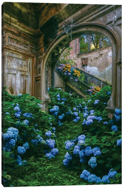 Blue Hydrangea Flowers In An Old Abandoned House Canvas Art Print - Nature Renewal