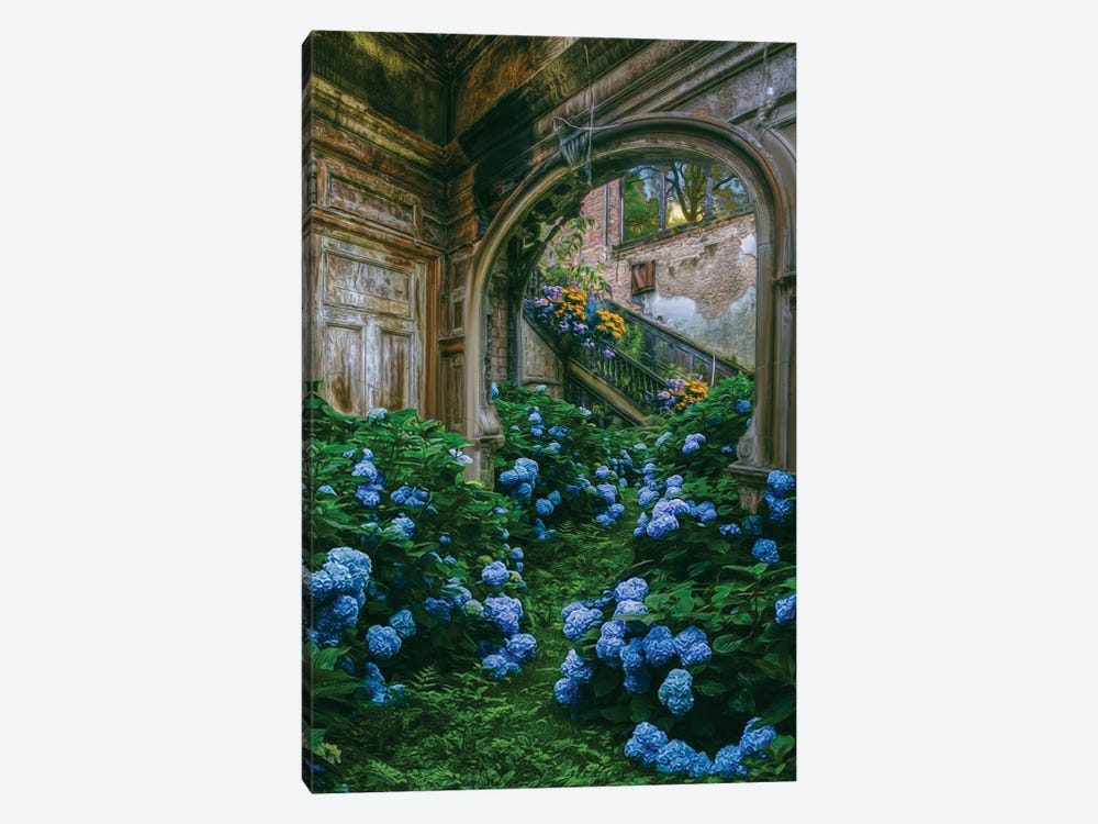 Blue Hydrangea Flowers In An Old Abandoned House by Ievgeniia Bidiuk 1-piece Canvas Art Print