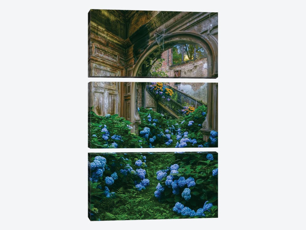 Blue Hydrangea Flowers In An Old Abandoned House by Ievgeniia Bidiuk 3-piece Canvas Print
