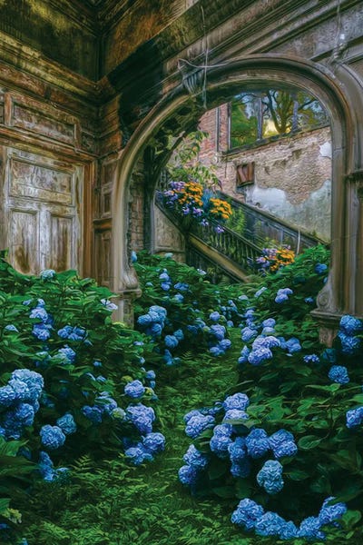 Dereliction: Blue Hydrangea Flowers In An Old Abandoned House by Ievgeniia Bidiuk