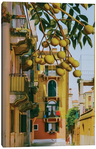 Marula Branches With Fruits Against The Background Of The Old City Canvas Art Print - Mediterranean Décor