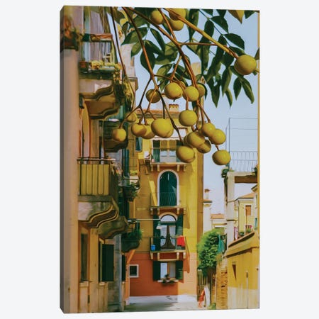 Marula Branches With Fruits Against The Background Of The Old City Canvas Print #IVG808} by Ievgeniia Bidiuk Canvas Art