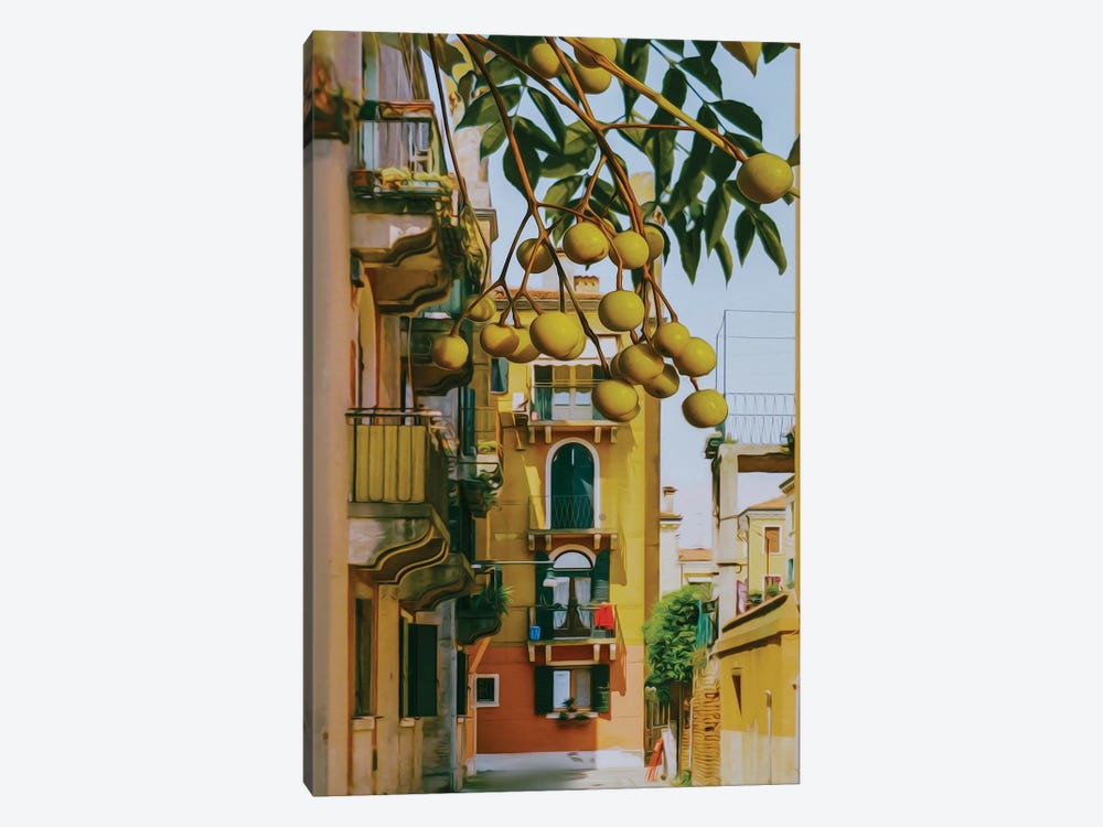 Marula Branches With Fruits Against The Background Of The Old City by Ievgeniia Bidiuk 1-piece Art Print