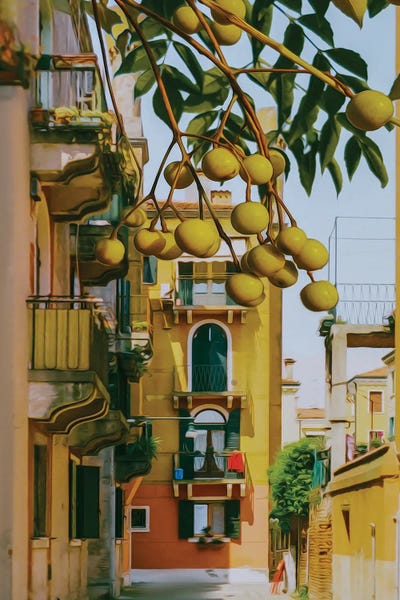 La Dolce Vita: Marula Branches With Fruits Against The Background Of The Old City by Ievgeniia Bidiuk